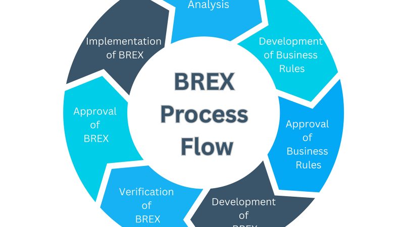 BREX Process Flow